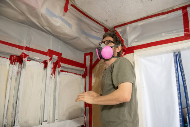  Bellemont, AZ Mold Removal Pros