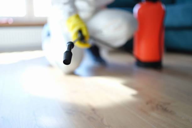 Trusted Bellemont, AZ Mold Removal Experts