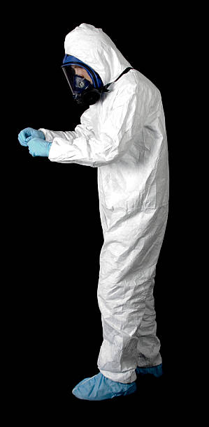 Best Mold Remediation for Healthcare Facilities  in Bellemont, AZ